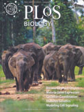 Cover of PLoS Biology