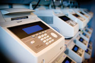 A bank of ABI PCR machines