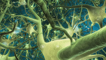 Illustration of neurons
